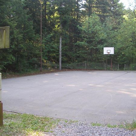 Camping Pivka Jama بوستوينا المظهر الخارجي الصورة