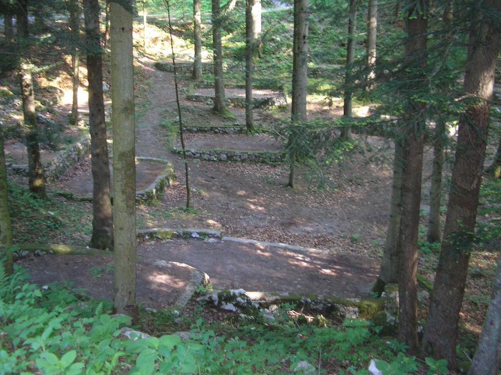 Camping Pivka Jama بوستوينا المظهر الخارجي الصورة
