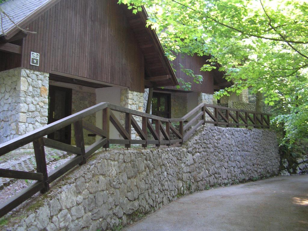 Camping Pivka Jama بوستوينا المظهر الخارجي الصورة