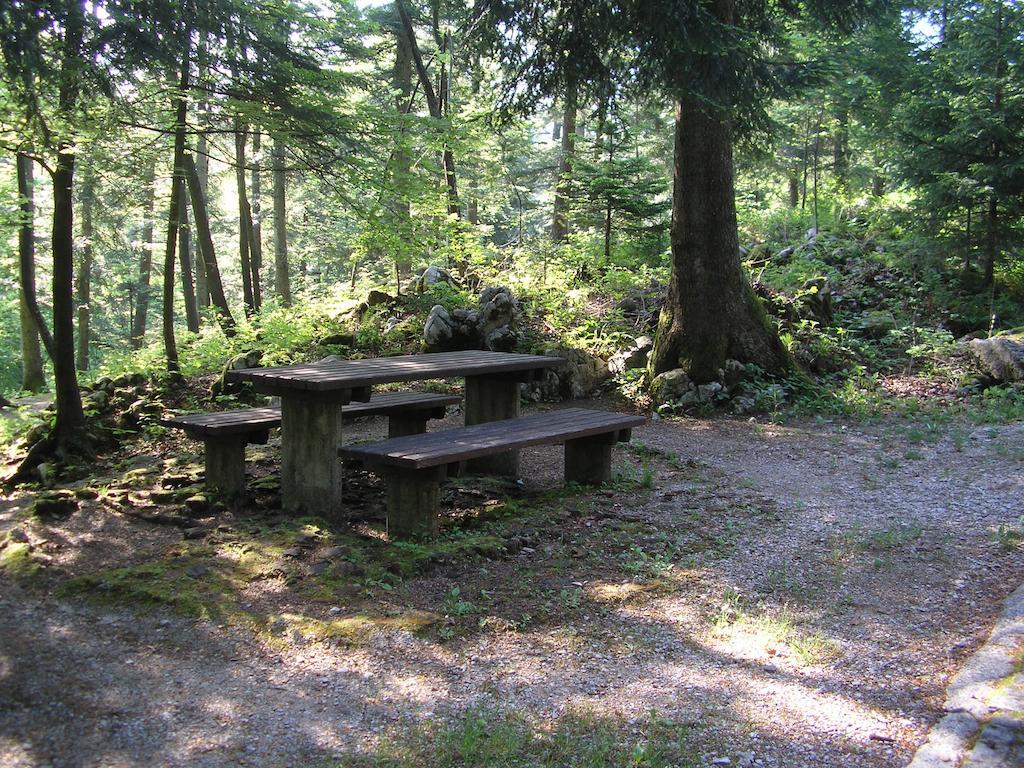 Camping Pivka Jama بوستوينا المظهر الخارجي الصورة