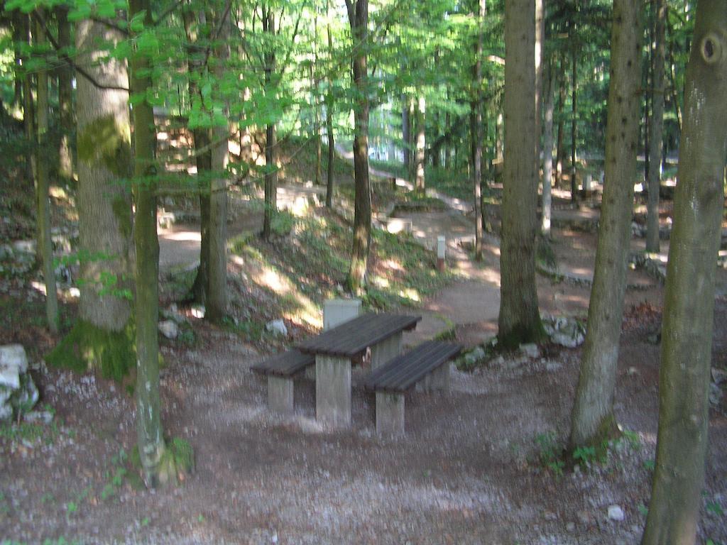 Camping Pivka Jama بوستوينا المظهر الخارجي الصورة